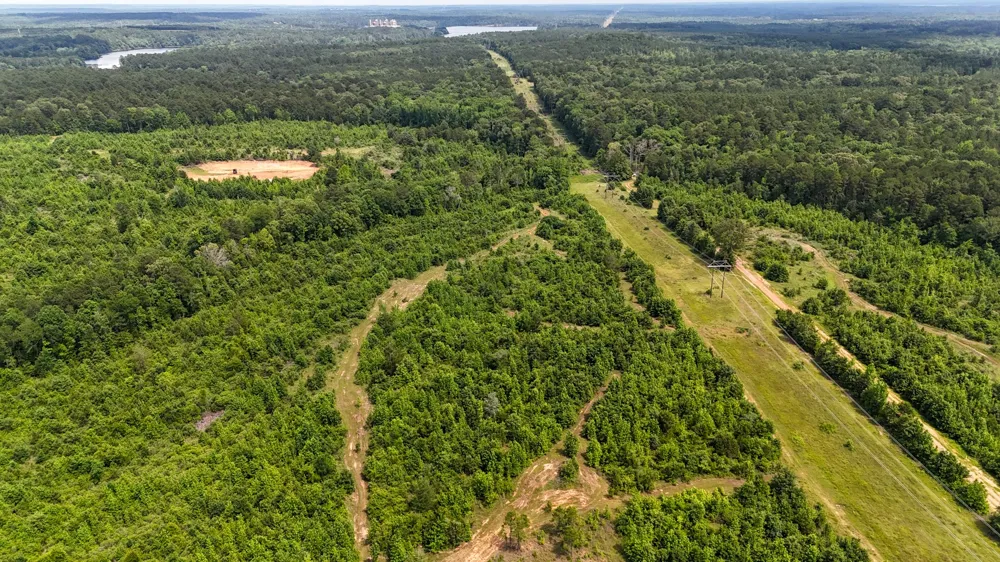Avinger Cutoff Road Avinger, TX 75630