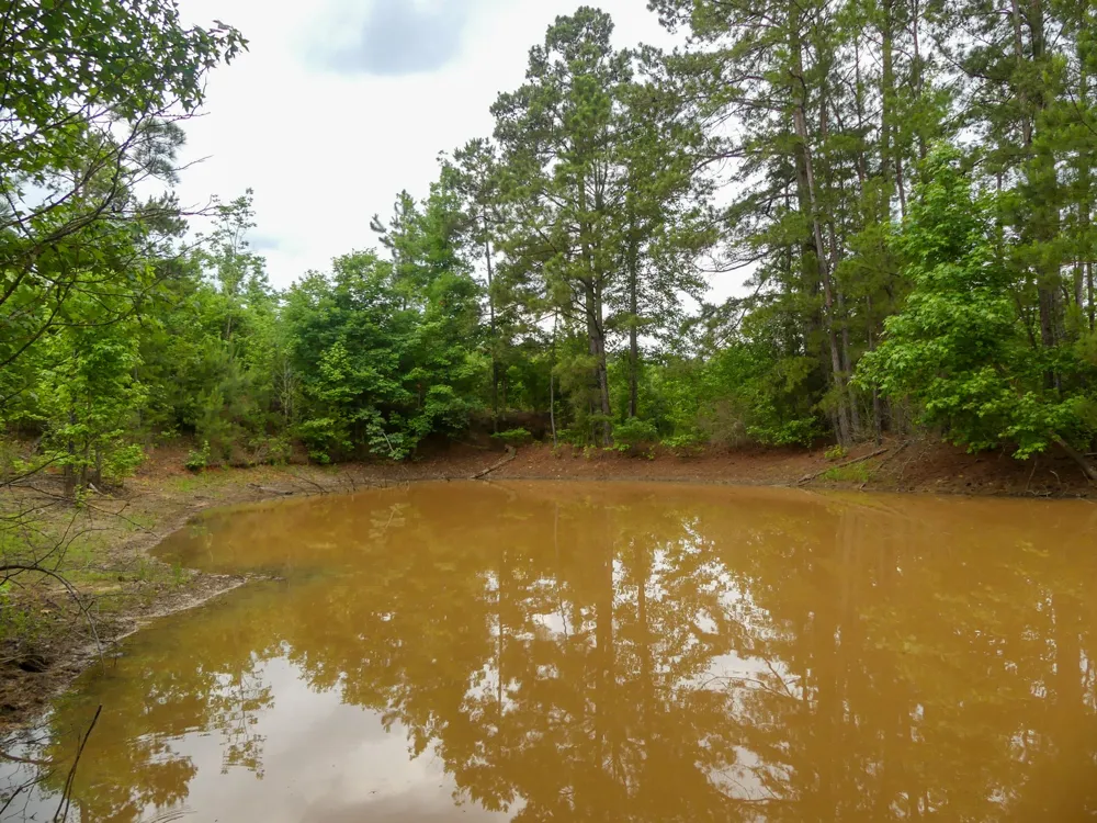 Avinger Cutoff Road Avinger, TX 75630