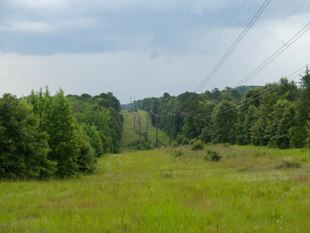 Avinger Cutoff Road Avinger, TX 75630
