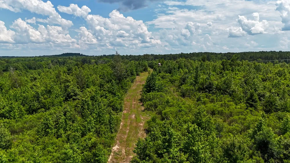 Avinger Cutoff Road Avinger, TX 75630