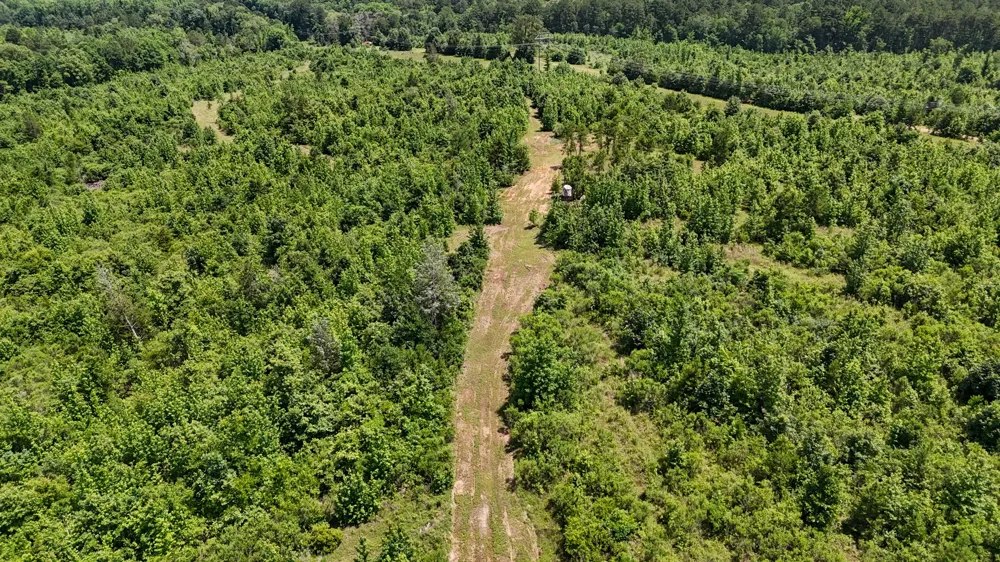 Avinger Cutoff Road Avinger, TX 75630