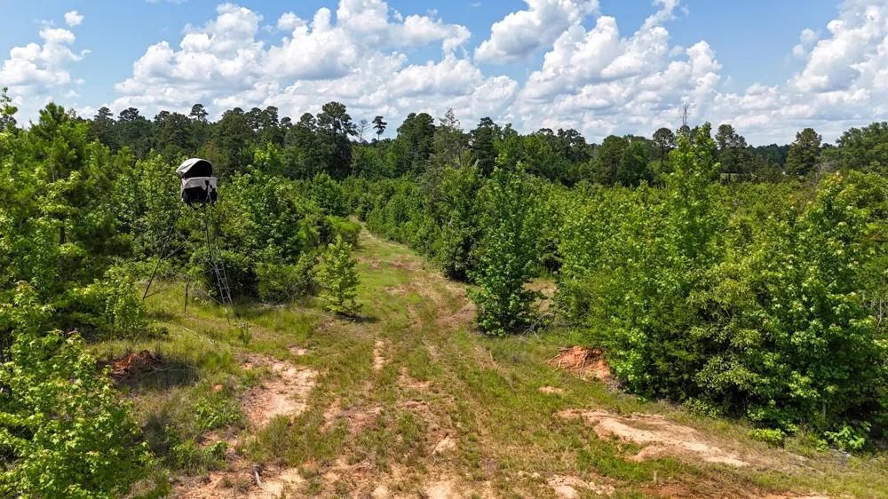 Avinger Cutoff Road Avinger, TX 75630