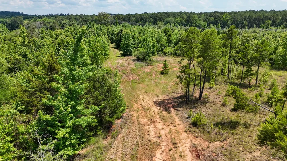 Avinger Cutoff Road Avinger, TX 75630