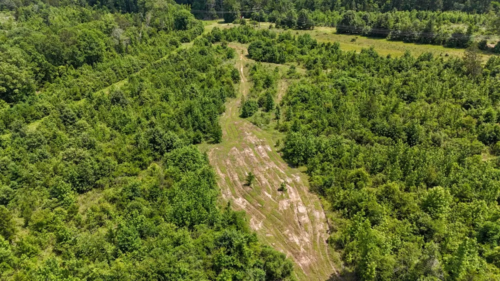 Avinger Cutoff Road Avinger, TX 75630