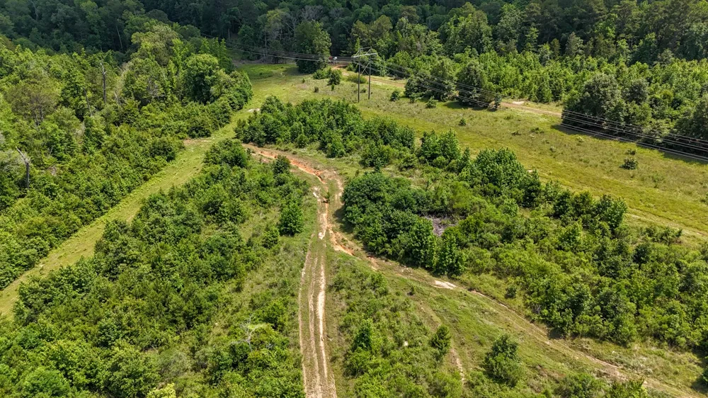 Avinger Cutoff Road Avinger, TX 75630