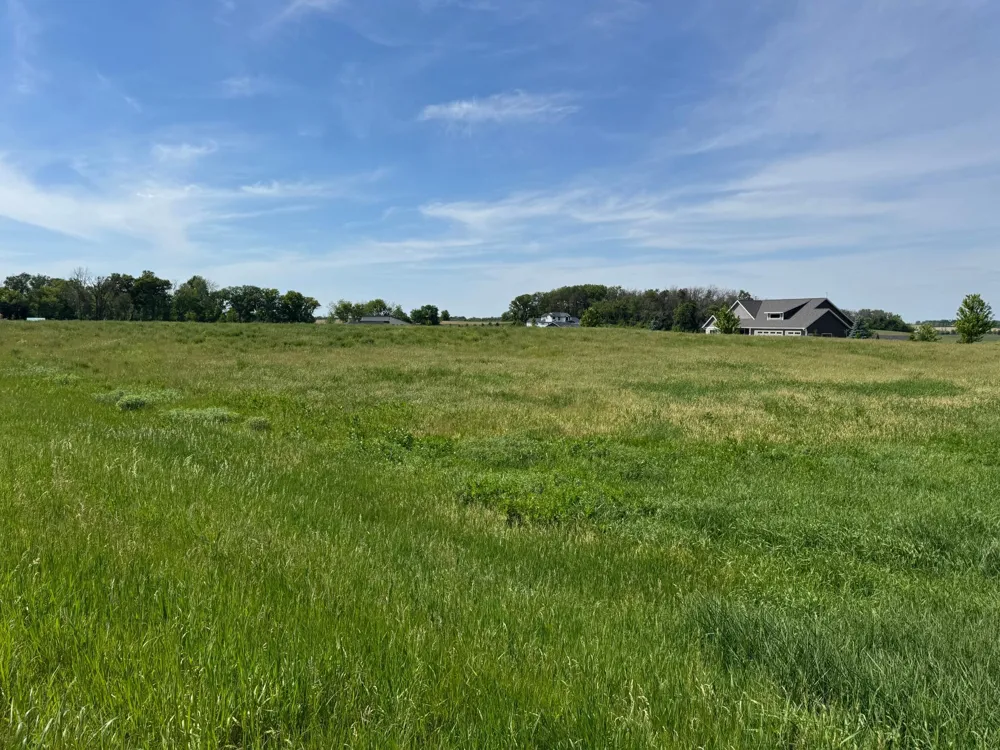 TBD 267th St Racine, MN 55967