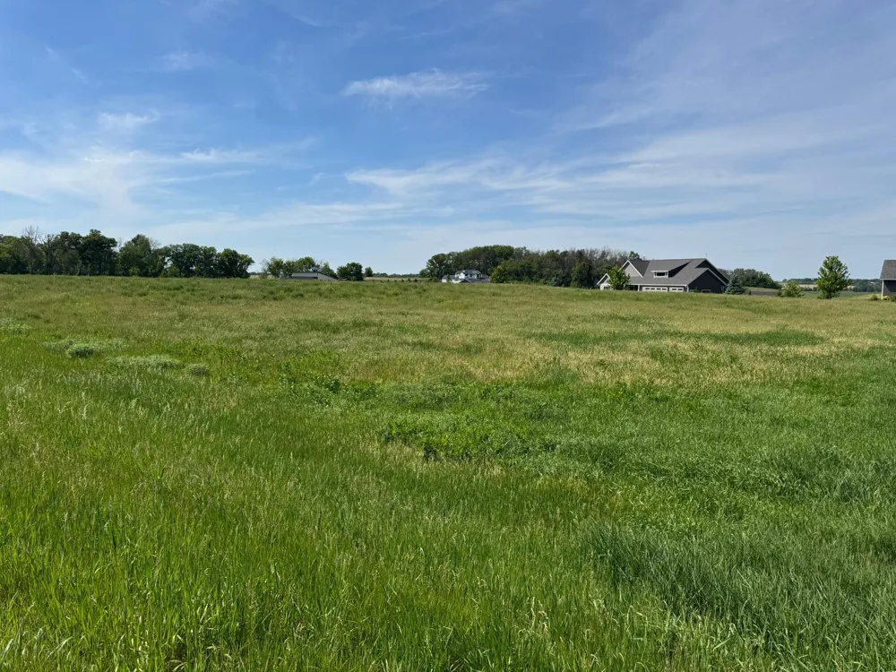TBD 267th St Racine, MN 55967