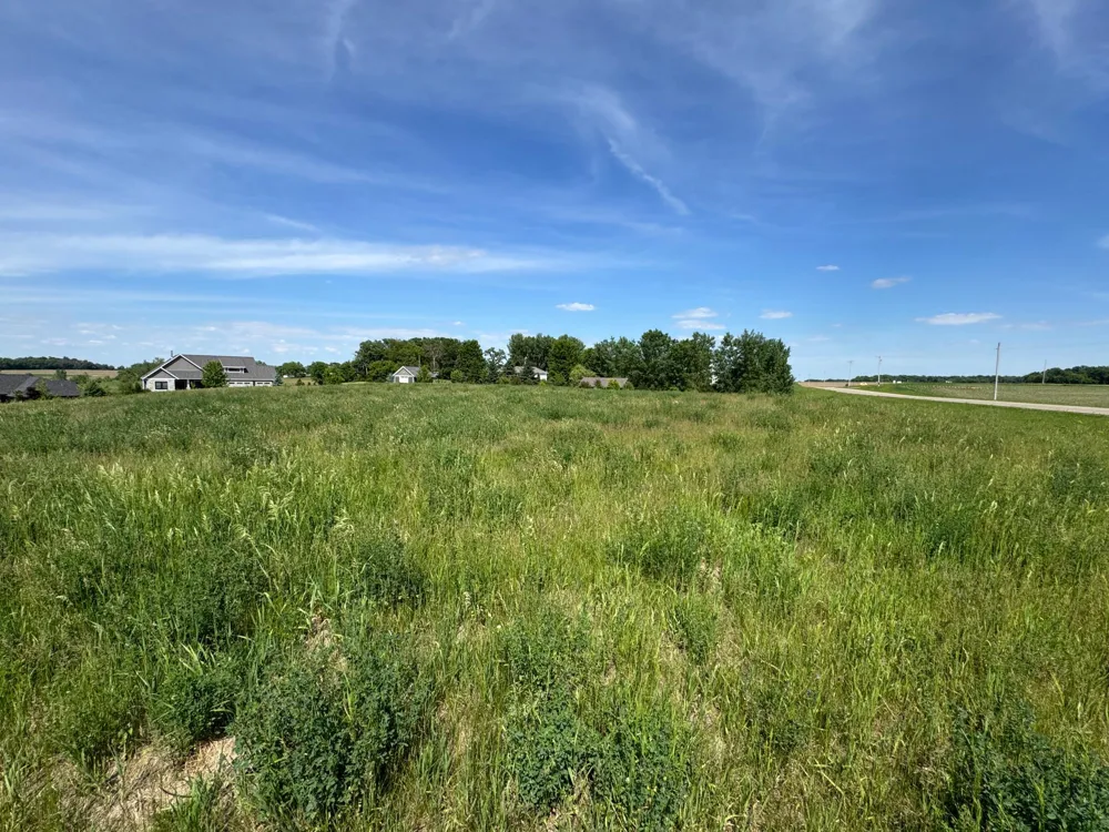 TBD 267th St Racine, MN 55967