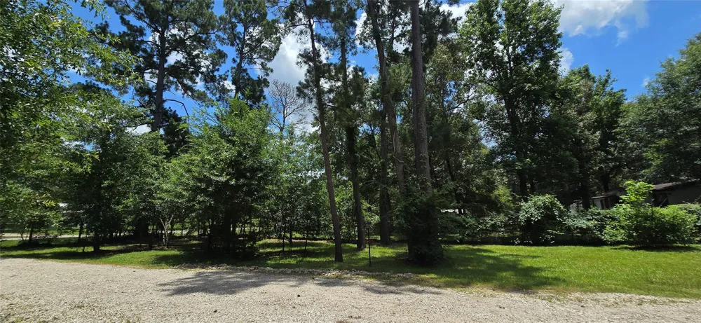 23806 Brushy Woods Street Hockley, TX 77447