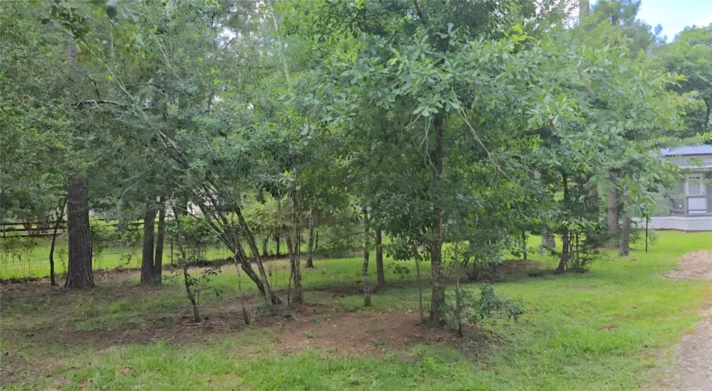 23806 Brushy Woods Street Hockley, TX 77447