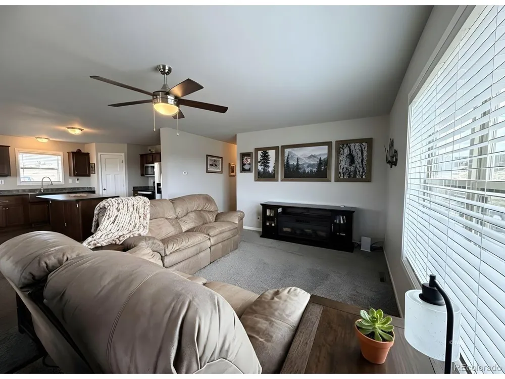 296 Arapahoe Circle Westcliffe, CO 81252