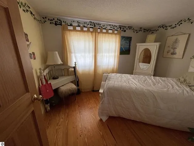 11282 SE Torch Lake Drive Helena Township, MI 49612