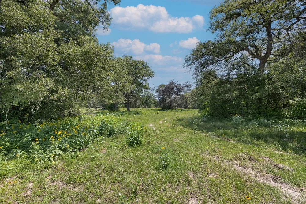 Address Not Shown Caldwell, TX 77836