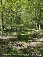 L-33 Harring Road Cairo, NY 12413