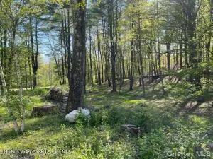 L-33 Harring Road Cairo, NY 12413