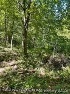 L-33 Harring Road Cairo, NY 12413