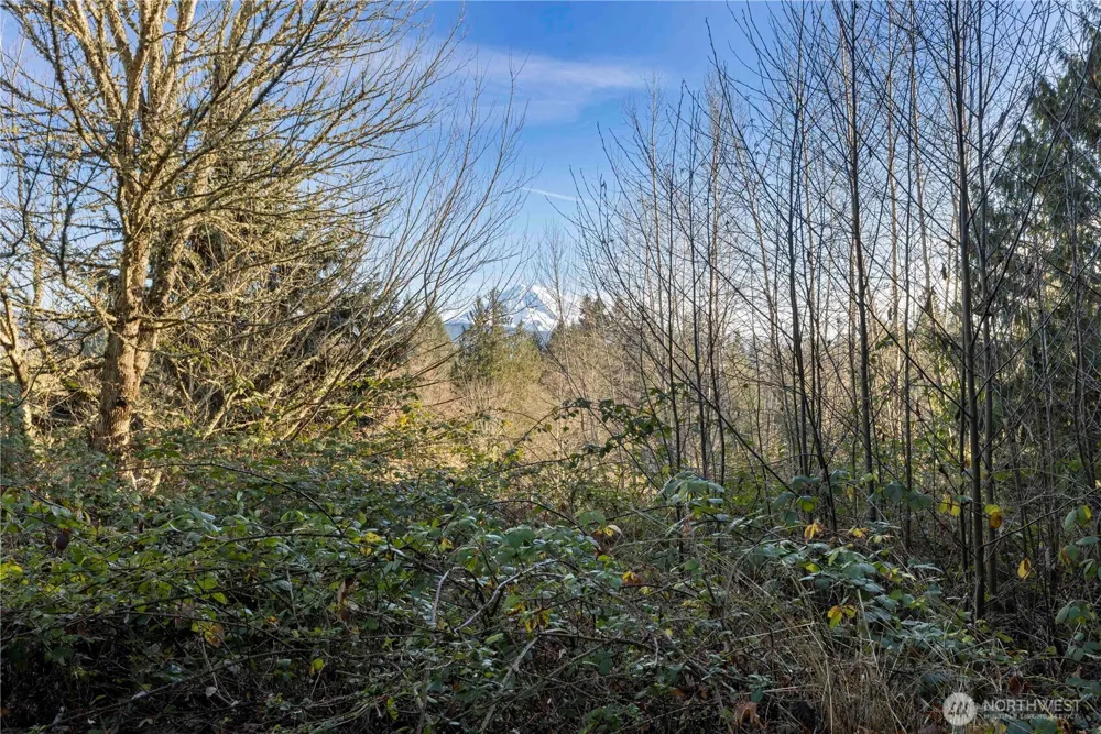 16018 229th Street E Graham, WA 98338