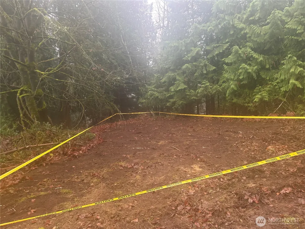 16018 229th Street E Graham, WA 98338