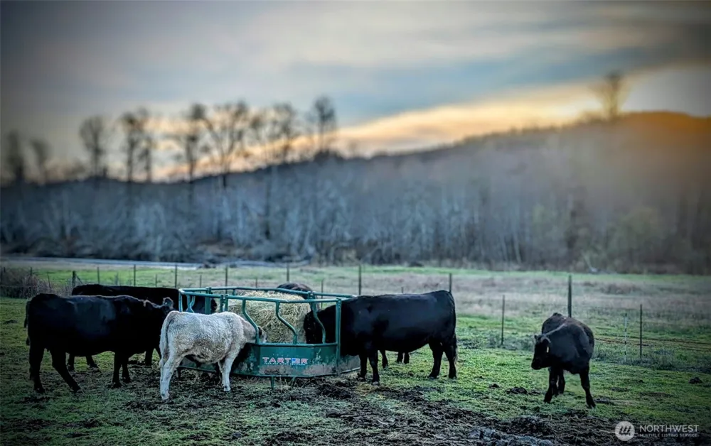 1381 Wynooche Valley Road Montesano, WA 98563