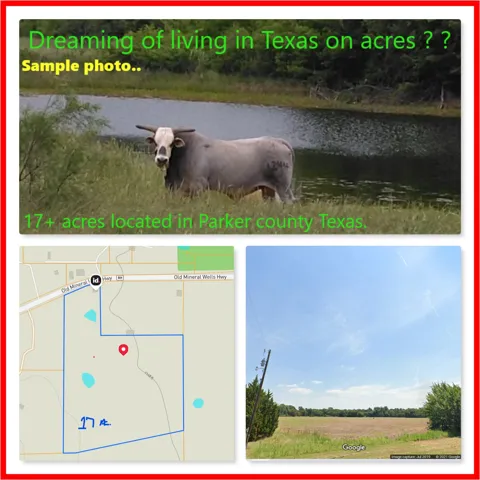 3321 Old Mineral Wells Highway