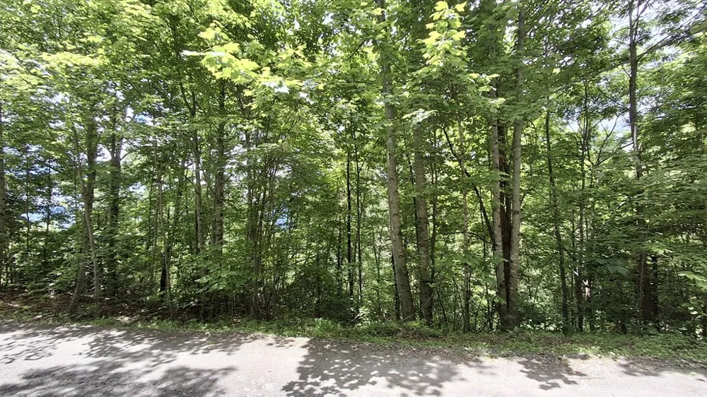 Signal Ridge road Sylva, NC 28779