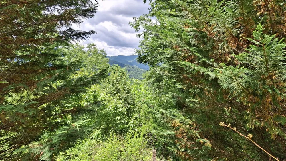 Signal Ridge road Sylva, NC 28779