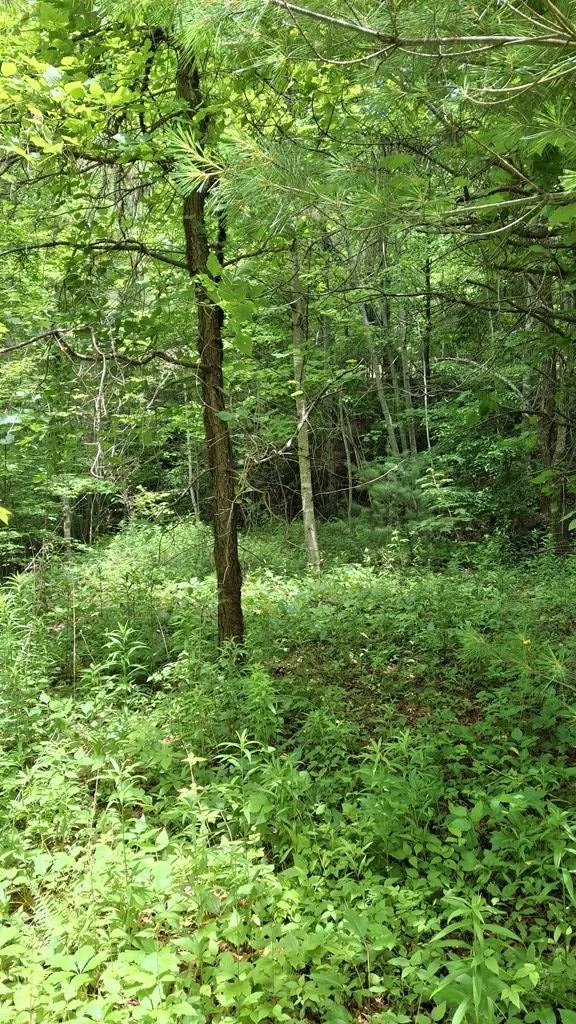 Signal Ridge road Sylva, NC 28779