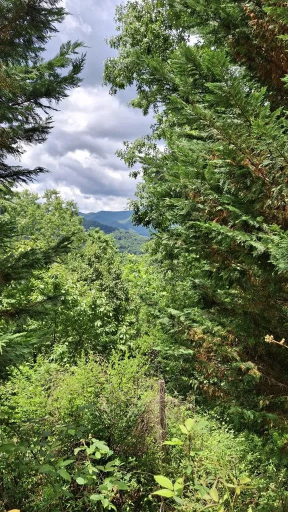 Signal Ridge road Sylva, NC 28779