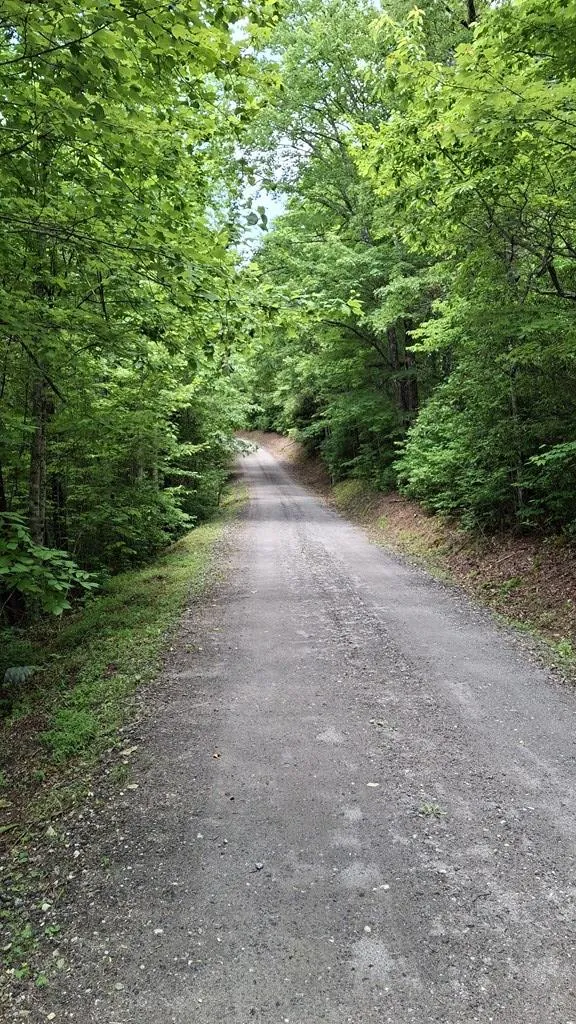 Signal Ridge road Sylva, NC 28779