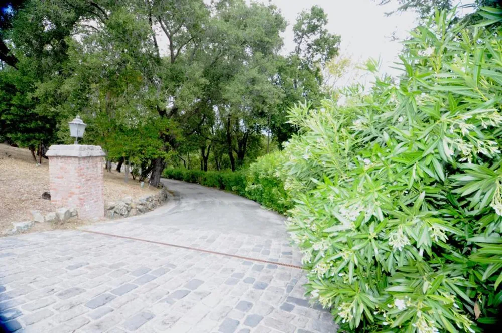 389 Moore Road Woodside, CA 94062