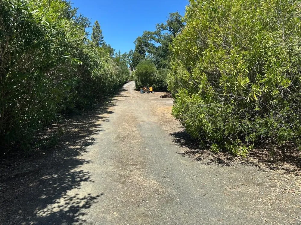 389 Moore Road Woodside, CA 94062