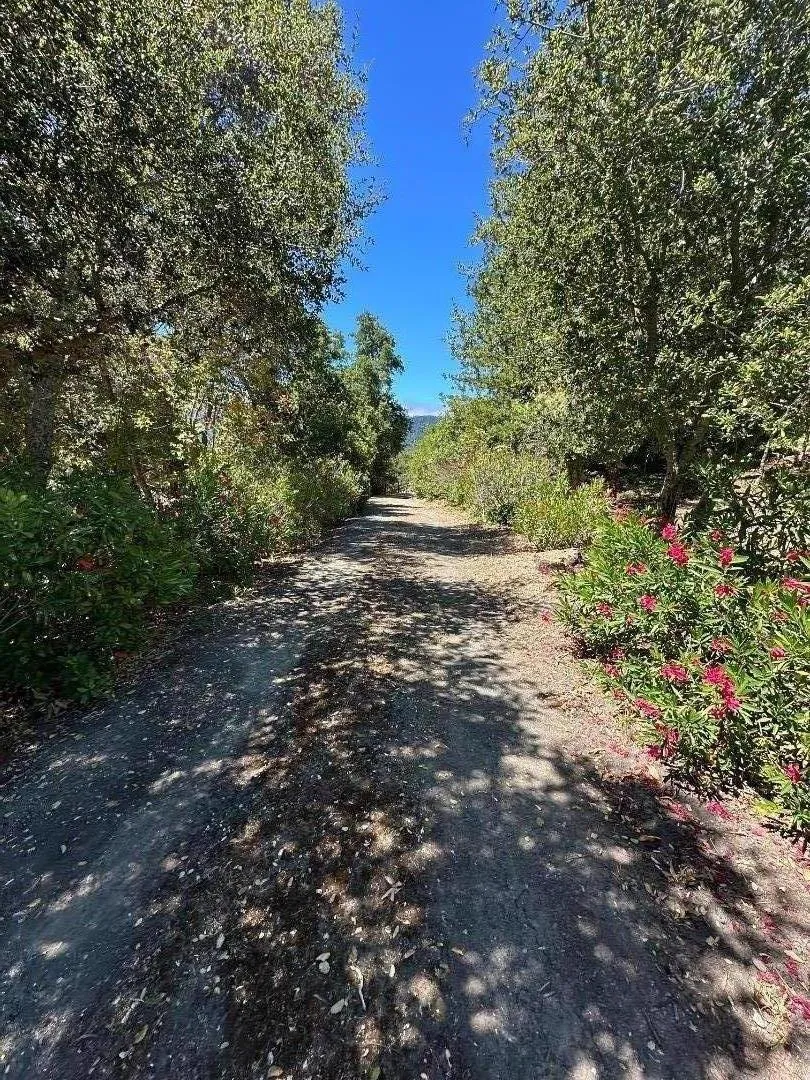 389 Moore Road Woodside, CA 94062