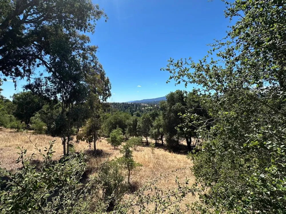 389 Moore Road Woodside, CA 94062
