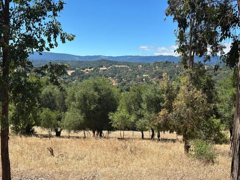 389 Moore Road Woodside, CA 94062