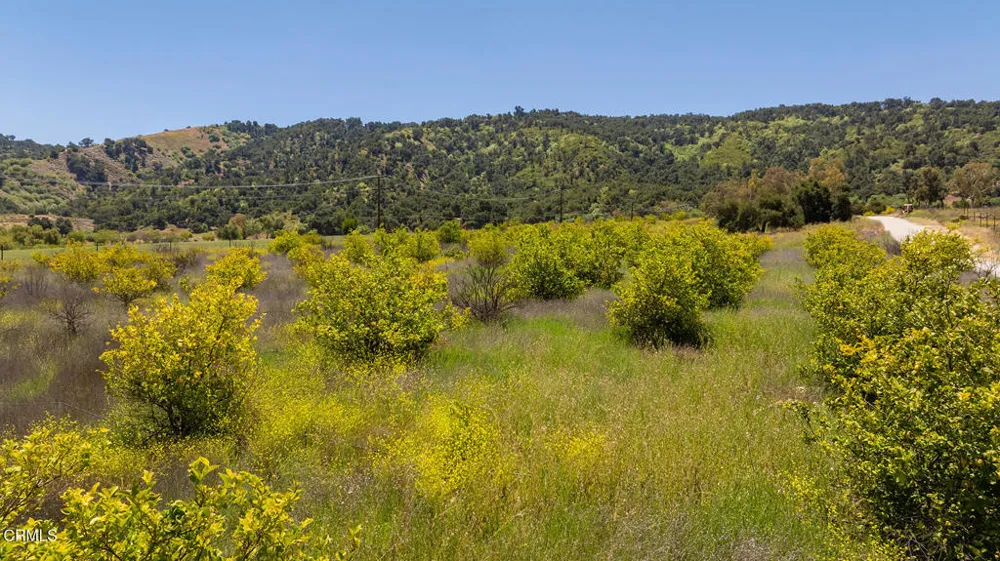 12400 Ojai Santa Paula Road Ojai, CA 93023