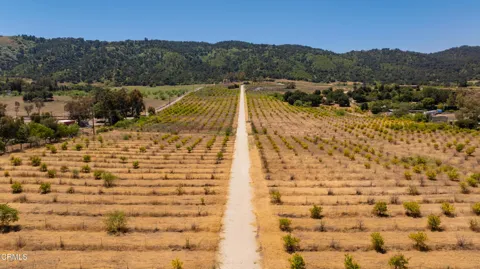 12400 Ojai Santa Paula Road