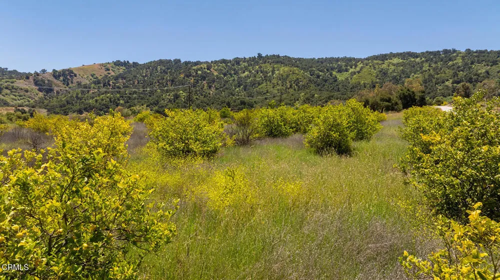 12400 Ojai Santa Paula Road Ojai, CA 93023