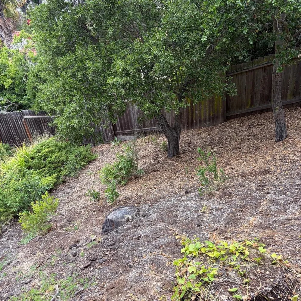 34 Cottage Lane San Carlos, CA 94070