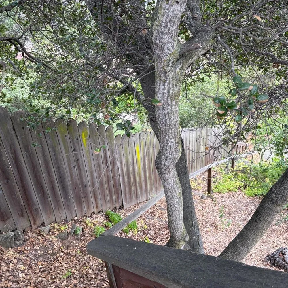 34 Cottage Lane San Carlos, CA 94070