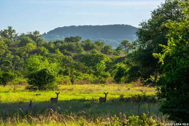 190-A Richter Road Boerne, TX 78006
