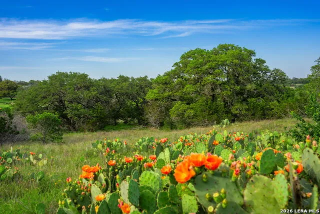 190-A Richter Road Boerne, TX 78006
