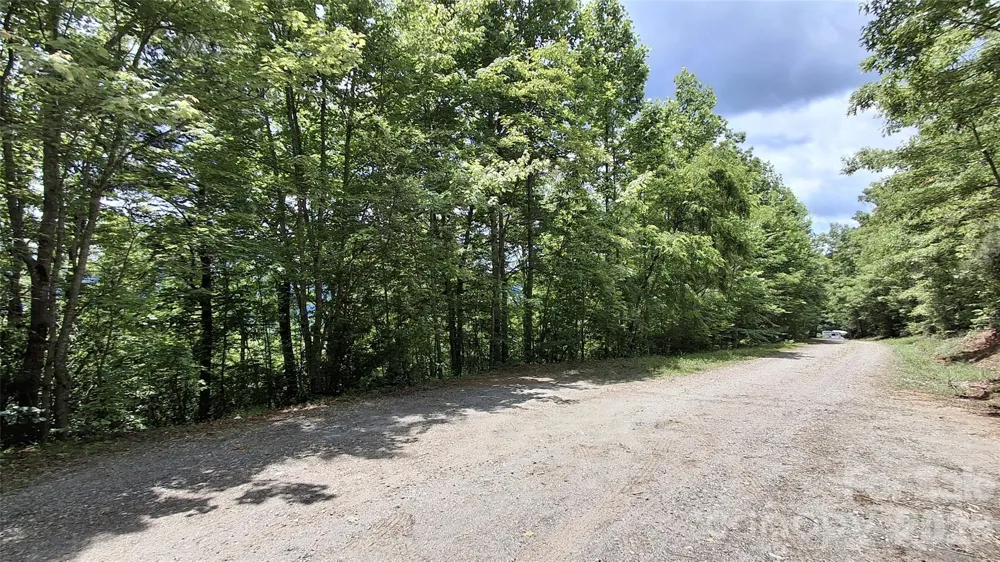 Lot 29 Signal Ridge Road #29 Sylva, NC 28779