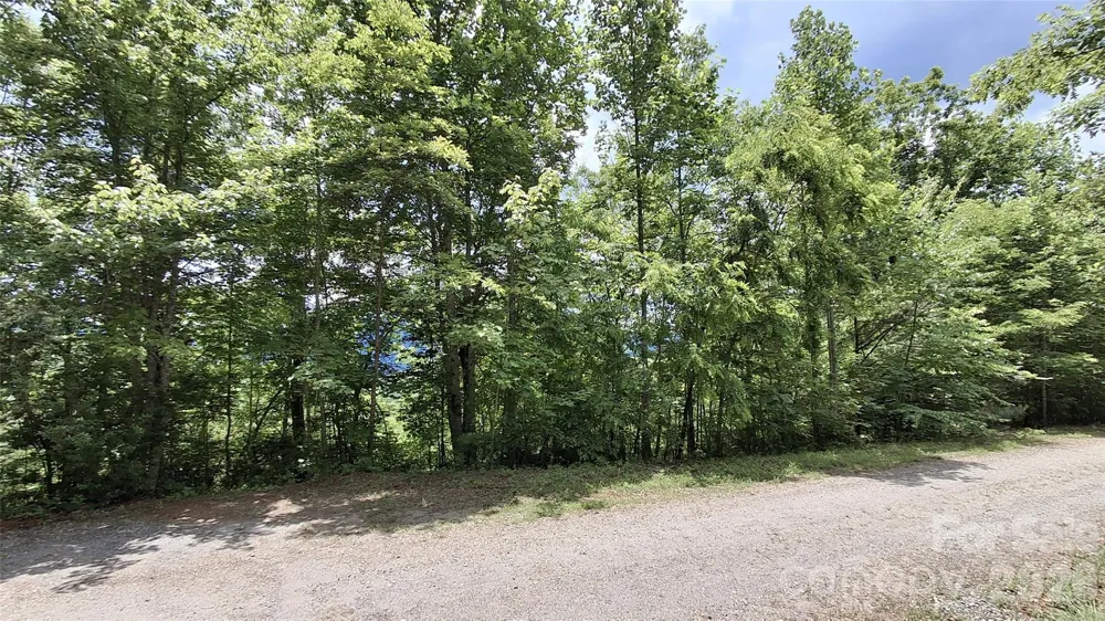 Lot 29 Signal Ridge Road #29 Sylva, NC 28779