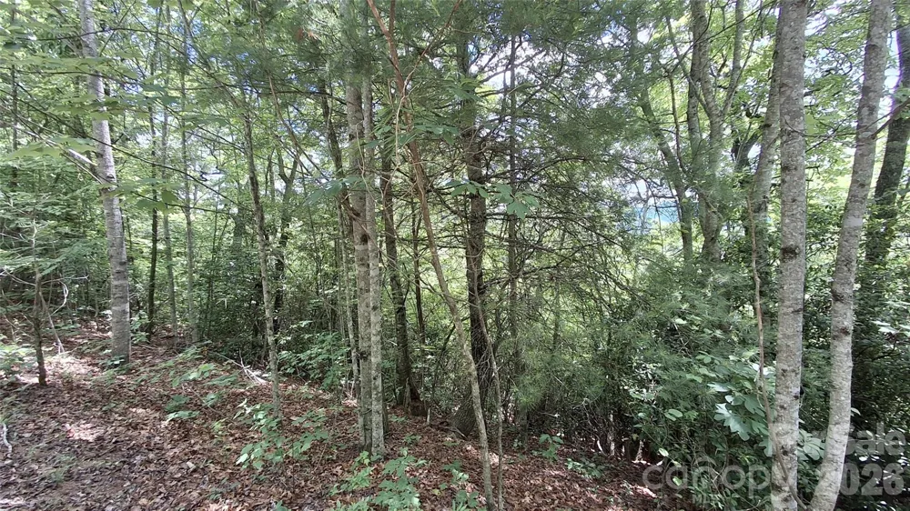 Lot 29 Signal Ridge Road #29 Sylva, NC 28779