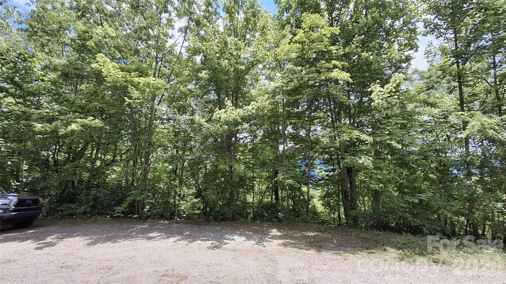 Lot 29 Signal Ridge Road #29 Sylva, NC 28779