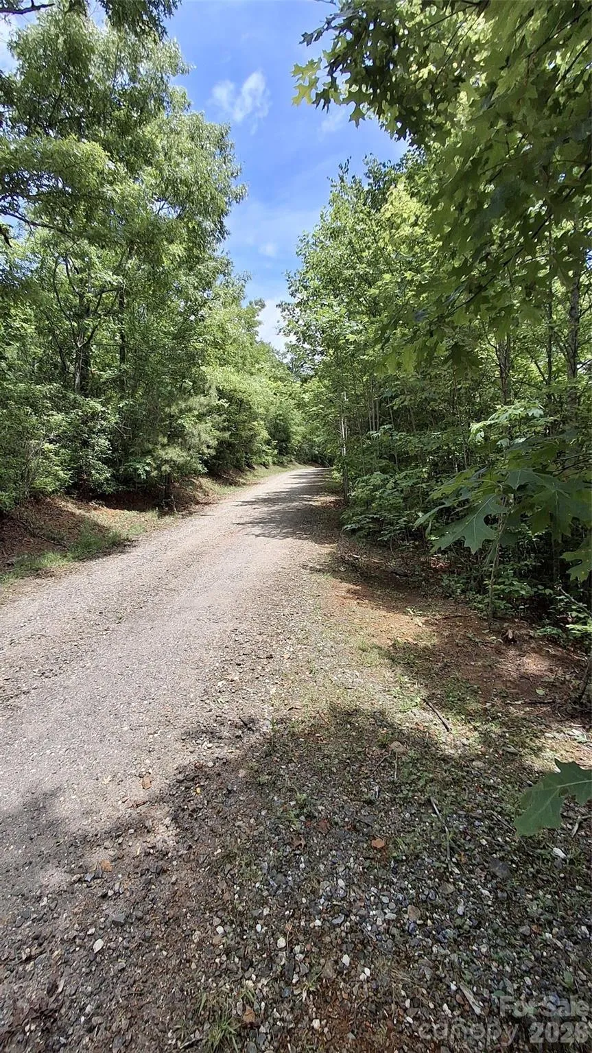 Lot 29 Signal Ridge Road #29 Sylva, NC 28779