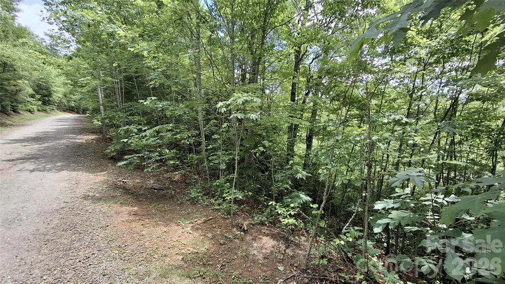 Lot 29 Signal Ridge Road #29 Sylva, NC 28779