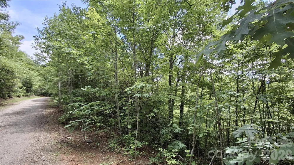 Lot 29 Signal Ridge Road #29 Sylva, NC 28779