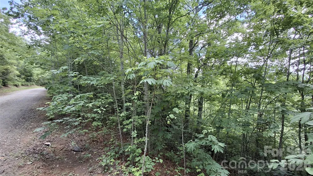 Lot 29 Signal Ridge Road #29 Sylva, NC 28779
