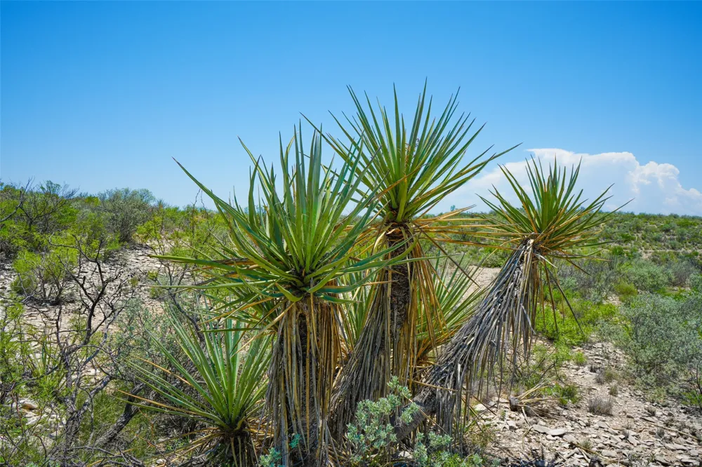 Indian Creek No City, TX 78851